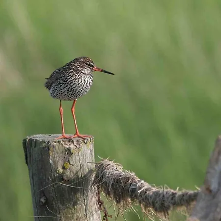 Apartamento Seevilla Wietjes Whg 5