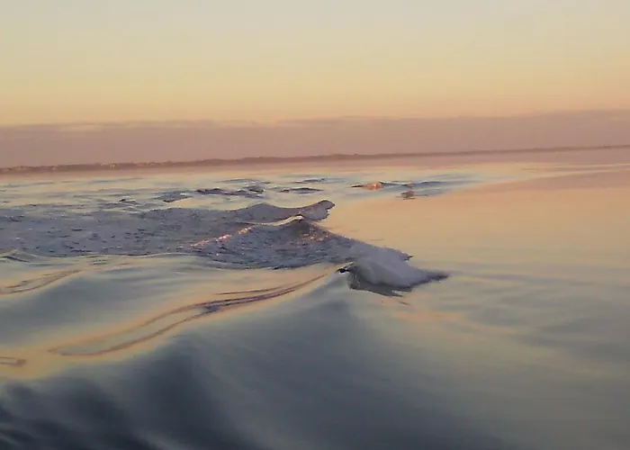 Apartament Seevilla Wietjes Whg 5