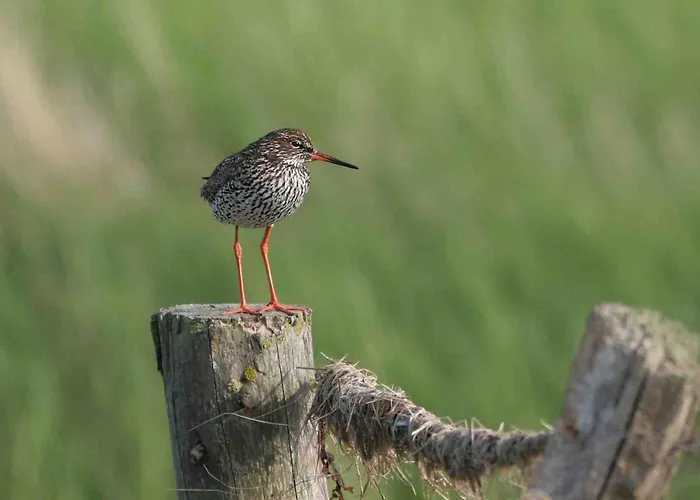 Apartamento Seevilla Wietjes Whg 5