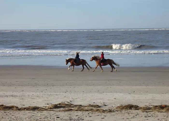 Seevilla Wietjes Whg 5